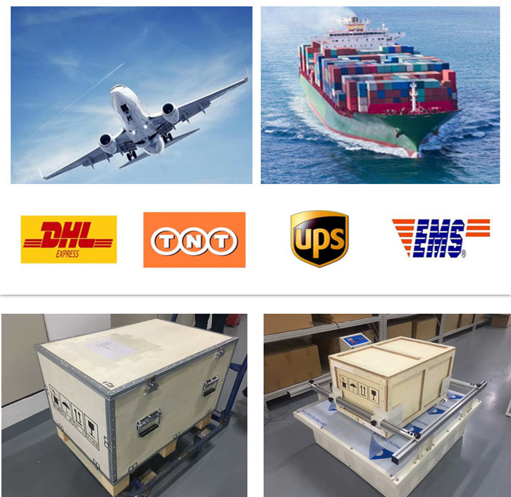 EXF9630 Testeur de pureté d'or par rayons X avec Assurance Commerciale