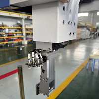 Lengan Robot Tiga Sumbu Label Pribadi, Dukungan Purna Jual Jarak Jauh, Beban Angkut 3 hingga 15 Kg untuk Penanganan Suku Cadang Lini Perakitan