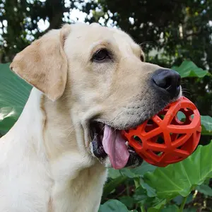 12.5 ס""מ כדורי שיני לעיסה גדולות משחקים צעצוע לא רעיל כלב חור גומי כדור צעצועי כדור טבעיים לחיות מחמד