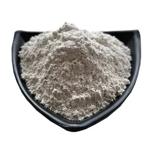 Industrial grade attapulgite clay powder Best selling attapulgite clay price cheap Palygorskite