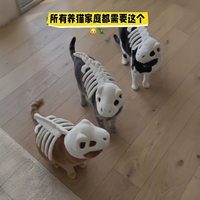 Chapeau en peluche réaliste en forme de crâne d'animal de compagnie, style exosquelette, dinosaure, en polyester et PP souple, pour le commerce extérieur, vente en gros
