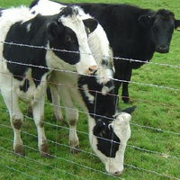 Panneaux grillagés galvanisés à chaud pour bétail - Clôtures durables pour ranchs, adaptées aux vaches, chevaux et l'élevage.