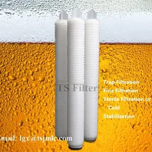 0.1 um 0.22 um 0.45 um Nylon66 Nylon6 Cartridge Filter membran berlipat untuk berbagai pelarut dan penyaringan cair