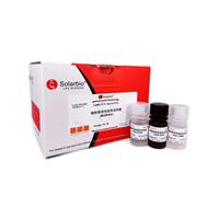 Kit de Detección de Actividad Mitocónica Solarbio (Método Janus Green B) G1573 3*10ml para Investigación Científica