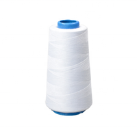 Fil à coudre en polyester 40S/2 40S/3 20S/2 100g, Hilos de Costura, couleur personnalisée, OEM