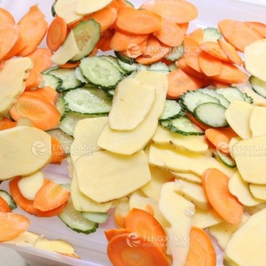 FC-301 <b>Multifunctional</b> <b>Vegetable</b> Cutting Machine Potato Cabbage Onion Carrot <b>Cutter</b> - Product Image 2