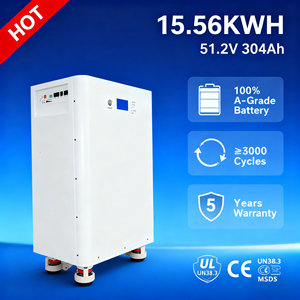 แบตเตอรี่ 200AH 10kWh อายุการใช้งาน 6000 รอบ สำหรับระบบไฮบริดกริดโซลาร์ ระบบกักเก็บพลังงานในครัวเรือน รองรับการสื่อสารผ่าน CAN  แบบพกพา - Product Image 2