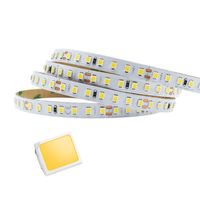 Bande LED blanche 2835 de 140 LED/m pour chambre/commode, 12V/24V, 10mm, flexible, 2200-6500K, CRI 90, IP20/65/66/67/68, découpable
