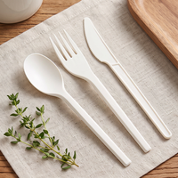 Couverts jetables pour la sécurité alimentaire, emballage individuel, couverts en amidon de maïs, couverts biodégradables en amidon de maïs