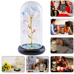 OurWarm 2021 Forever Galaxy Rose con luz LED Dia De La Madre Regalos para el día de la madre Pedido mínimo 50 piezas - Product Image 6