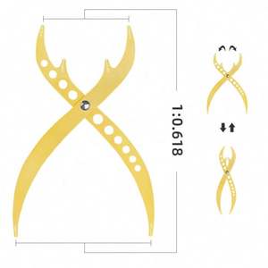 Outil de mesure des sourcils Microblading Golden Ratio Outil de <span class=keywords><strong>dessin</strong></span> de diviseur de sourcils en acier inoxydable Mesure parfaitement les sourcils dorés - Product Image 4