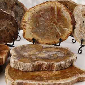 Wholesale Shammah Crystal Natural Petrified <b>Wood</b> <b>Slice</b> Slab Quartz Crystal Mineral Specimen Healing Feng Shui Polished - Product Image 4