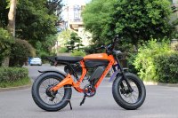 Moto tout-terrain électrique pour adultes, moteur 1000 W, légère, haute résistance, haute vitesse, moto tout-terrain électrique rapide