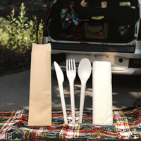 Kit de couverts jetables biodégradables en CPLA blanc et noir, écologiques, simples, compostables, fourchette, couteau, cuillère