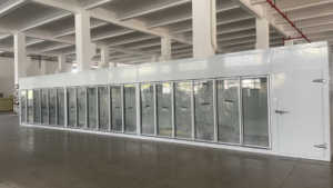 Sandwich Bảng Điều Chỉnh Cửa Kính Đi Bộ Trong Mát Đi Bộ Tủ Đông Lạnh Phòng Lạnh Lưu Trữ Walkin Tủ Lạnh Tủ Lạnh Cho Vaccine Phòng Thí Nghiệm - Product Image 3