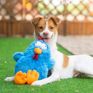 Toptan en iyi Pet malzemeleri cluck tavuk kırışık peluş köpek oyuncaklar yavru çiğnemek oyuncaklar diş çıkarma çiğnemek için karikatür şeklinde peluş dayanıklı - Product Image 1
