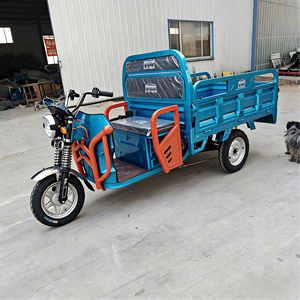 Triciclo de Carga Elegante de Gran Capacidad, Diseño Abierto, Certificado, 48V 1000W, 2 Pasajeros, Carga Útil de 400 kg - Product Image 4