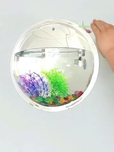 Jardinière hydroponique murale ovale en plastique 2,5 L, accessoires d'<span class=keywords><strong>aquarium</strong></span>, station de propagation créative suspendue pour Pothos et Lierre - Product Image 1