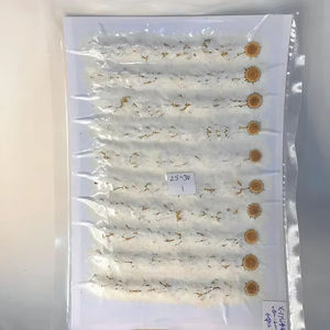 Umwelt freundliche weiße Kristall gänseblümchen gepresste Blumen für Harz schmuck Pflanzen probe Valentinstag Geschenk - Product Image 6