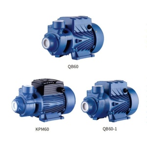 Pompe à eau périphérique SUOU QB60 haute performance 0,37 kW pour le jardin domestique, le surpression et les systèmes automatiques - Product Image 3