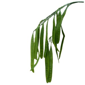 Gousses de pois artificielles Secret Garden en caoutchouc souple vertes pour décoration de mariage, utilisation intérieure et extérieure - Product Image 1