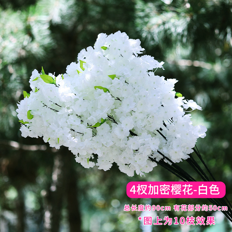Blanc extra-dense à quatre branches