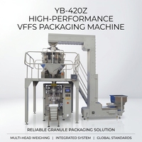 Universal Granule Packing Machine for Food and Industrial Granules Automatic Bag Forming Filling Sealing Machine
