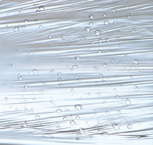 Film de paillage de serre de moulage par soufflage de PE réfléchissant noir argenté protecteur dégradable <span class=keywords><strong>pour</strong></span> le plastique d'agriculture de fraises - Product Image 6