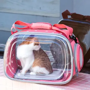 재사용 가능한 나일론 쇼핑 디자인 남성용 핸드백 브랜드 패치 캐리 백 고양이