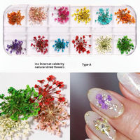 Décorations d'ongles 3D en fleurs séchées, mini autocollants de fleurs séchées réelles, motifs floraux naturels, décorations d'ongles DIY