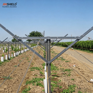 <span class=keywords><strong>Postes</strong></span> <span class=keywords><strong>para</strong></span> Viñedos con Recubrimiento de Zinc, Tipo Nuevo, <span class=keywords><strong>para</strong></span> Plantaciones de Huertos y Plantas de Vino - Product Image 2