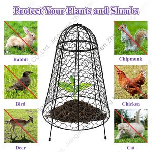 Cloche de jardin en métal pour protéger les plantes, les légumes et les poulets, contre les nuisibles et les oiseaux - Product Image 3