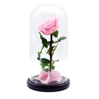 Bunga Yang Diawetkan Mawar Merah Mawar Dalam Kubah Kaca Bunga Asli, Hadiah Hari Valentine Hadiah Ulang Tahun Hadiah Hari Natal