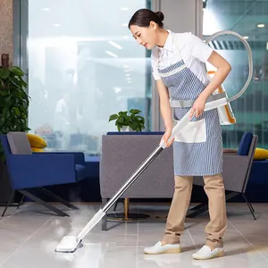 Steam Cleaner Manufacturer Newest Design Top Quality Steam Cleaner Commercial Industrial Steam Cleaner Pressure Carpet Steam Cleaner