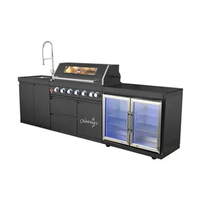Four à pizza professionnel et équipement de barbecue Chariot à barbecue à gaz de qualité avec revêtement en poudre pour poulet rôti