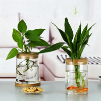 Pot hydroponique en verre borosilicate de haute qualité avec couvercle en liège et base en bois pour la culture en eau de Pothos et de Bambou porte-bonheur en intérieur