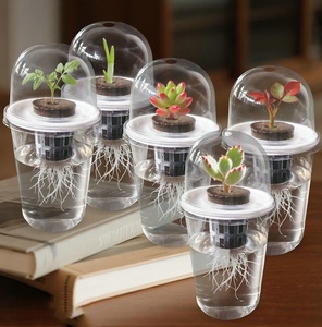 Vaso per Semina Idroponica, Piccolo Contenitore per Coltivazione di Fiori e Germogli, Vaso Trasparente con Cupola per Umidità - Product Image 6