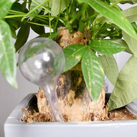 Boules d'arrosage automatiques DEEPBANG Plant Clear, dispositif d'arrosage automatique pour plantes d'intérieur, pots de plantes, ampoules d'arrosage pour les vacances