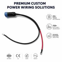 Câble d'alimentation OEM personnalisé 3512 14AWG en nylon/PBT haute température avec connecteur circulaire IP67 pour applications électroniques industrielles