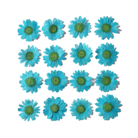 Fleurs séchées pressées, bijoux bohèmes, marguerites pressées colorées, fleurs séchées préservées pour coques de téléphone, sous-verres en résine et artisanat