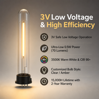 Ampoule LED à filament T20 1 filament 0,5W 70lm 3500K CRI 90+ Dimmable pour éclairage de jardin
