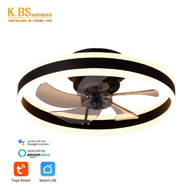 Modern Design Flush Mount Luxury Chandelier Modern Smart Fan Light Bldc Ceiling Fan With Light and Remote