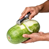 Elektrische wortel- en fruitenschilmachine van roestvrij staal, commerciële groenteschiller voor taro, suikerriet, ananas, pompoen en bonen