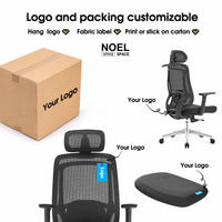 Chaise de bureau ergonomique en maille, vente en gros d'usine, plusieurs couleurs au choix, support lombaire réglable 2D, chaise de direction à dossier haut
