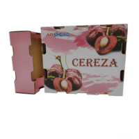 Boîtes d'emballage rigides en carton ondulé personnalisées en usine, carton pour fruits et légumes, matériaux recyclés pour les cerises