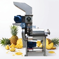 Professionele ananassap-extractiemachine met hoge opbrengst spiraalpers voor fruit en groenten, appel- en gemberpers.