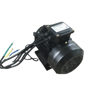 BLDC 48V 60V 72V 3000W Permanent Magnet Motor with Worm <b>Gear</b> <b>Box</b> for Home Appliance & Electric Bicycle - Product Image 6
