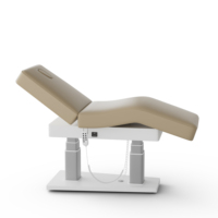 Meubles de salon de beauté professionnels, lit de spa facial électrique à 3 moteurs, table de massage moderne incurvée de luxe avec lumières et chariot