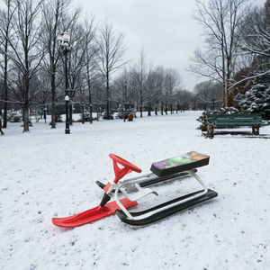 Enfants dirigeant des traîneaux Snow <span class=keywords><strong>Bob</strong></span> pour Snowscoot métal et plastique avec frein - Product Image 2