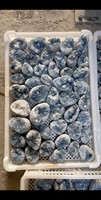 Améthyste naturelle brute, blocs d'améthyste propres et étincelants, adaptés à la collection d'ornements